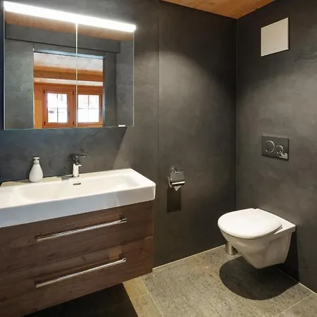 Luxuswohnung Swiss Alp By Interhome Holiday home *