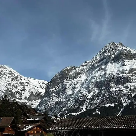 Luxuswohnung Swiss Alp By Interhome Holiday home Grindelwald