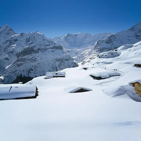 Luxuswohnung Swiss Alp By Interhome Holiday home Grindelwald