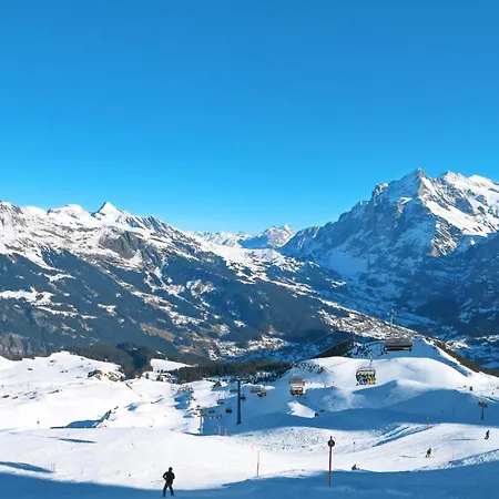 Luxuswohnung Swiss Alp By Interhome Grindelwald